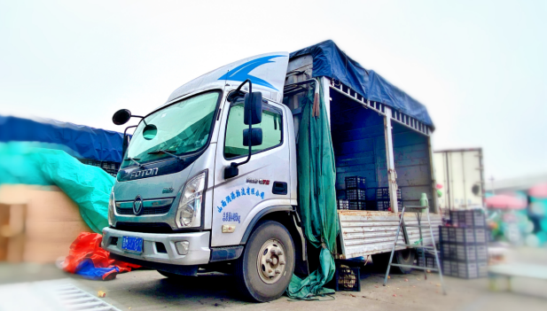 早上在枝头 下午在路上 明天到餐桌——高效<font color='#1d9ed2'>奥</font><font color='#1d9ed2'>铃</font>轻卡让运城鲜果保质保量走出去