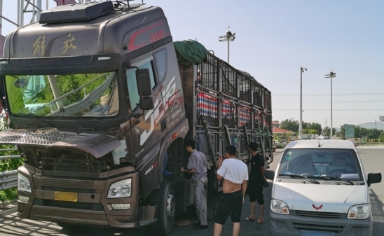 运鱼车抛锚，<font color='#1d9ed2'>解</font><font color='#1d9ed2'>放</font>滕州服务站38℃高温3小时紧急救援